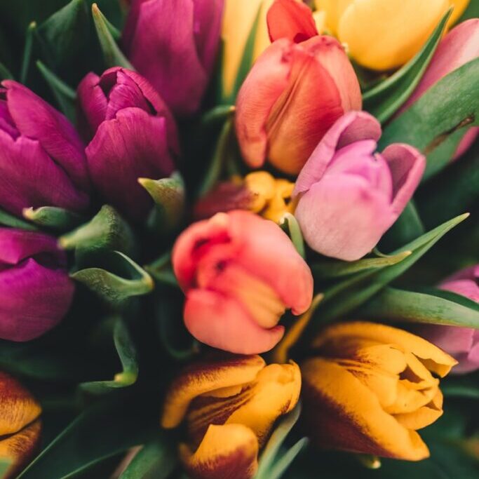 assorted flowers
